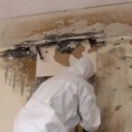 How to Spot Hidden Water Damage