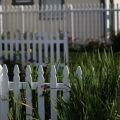 How to Pick the Best Fencing for Your Yard – Invisible vs Traditional Fences