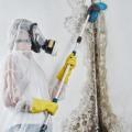 5 Advantages of Professional Mold Removal