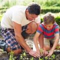 Gardening Upgrade tips to Consider this Season