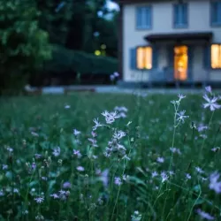 Innovative Technologies Revolutionizing Home Energy Use
